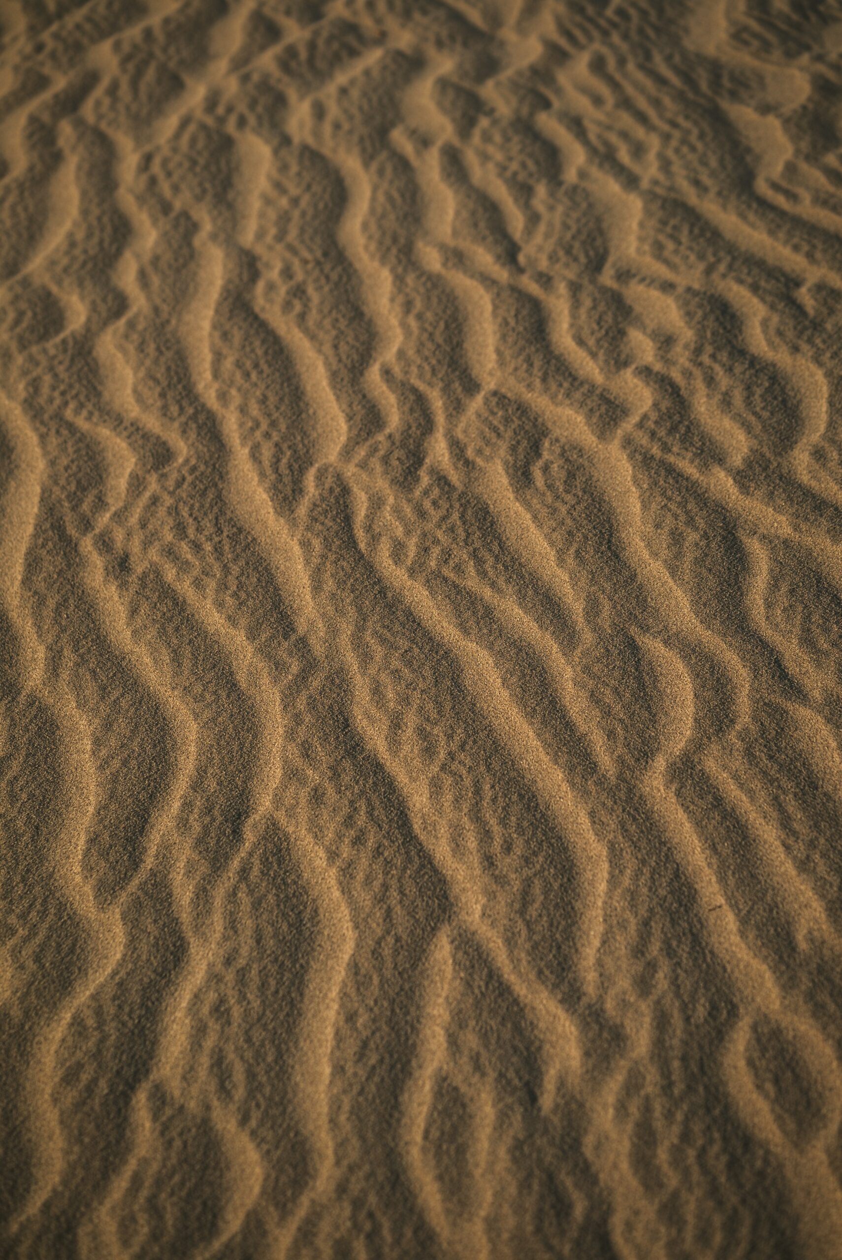 ripples in sand
