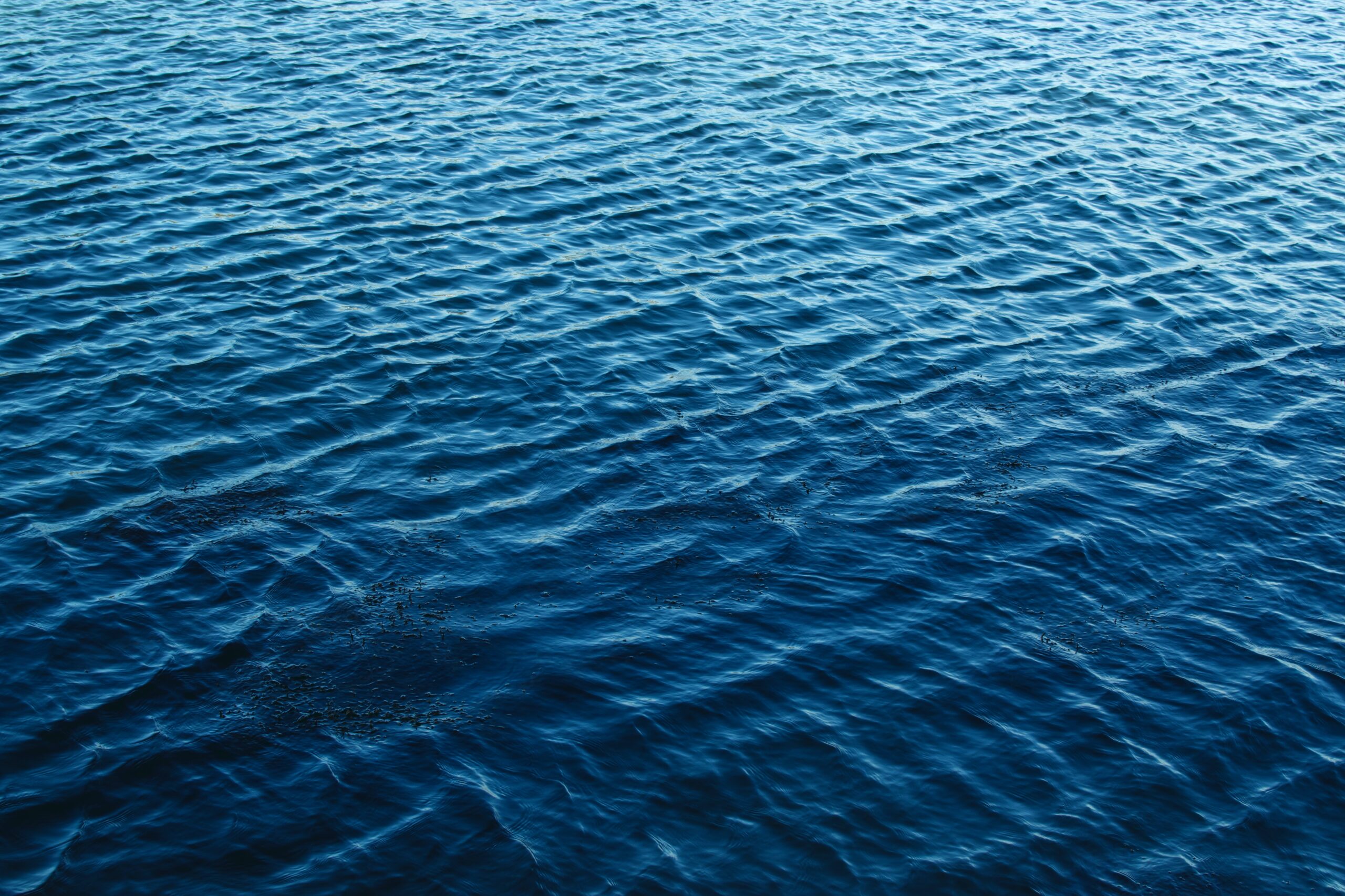 waves on water